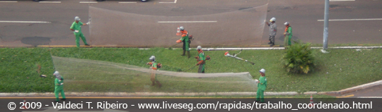 Trabalho em equipe.