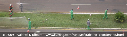 Trabalho em equipe.
